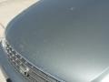 Silver Spruce Metallic - Avalon XL Photo No. 11