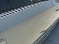 Silver Spruce Metallic - Avalon XL Photo No. 21