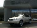 Savannah Beige Metallic - RX 350 AWD Photo No. 1