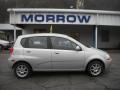 2007 Cosmic Silver Chevrolet Aveo 5 LS Hatchback  photo #1