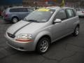 Cosmic Silver - Aveo 5 LS Hatchback Photo No. 18