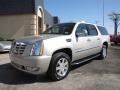 Quicksilver - Escalade ESV AWD Photo No. 3