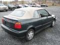 Bright Green Metallic - Cabrio GL Photo No. 3