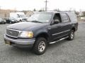 2001 Deep Wedgewood Blue Metallic Ford Expedition XLT 4x4 #27851277