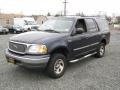 Deep Wedgewood Blue Metallic 2001 Ford Expedition XLT 4x4