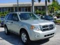 2008 Silver Metallic Ford Escape XLT  photo #1