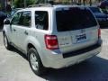 Silver Metallic - Escape XLT Photo No. 6