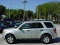 2008 Silver Metallic Ford Escape XLT  photo #7