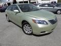 2007 Jasper Green Pearl Toyota Camry Hybrid  photo #1