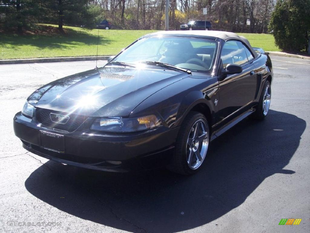 1999 Mustang V6 Convertible - Black / Medium Parchment photo #8