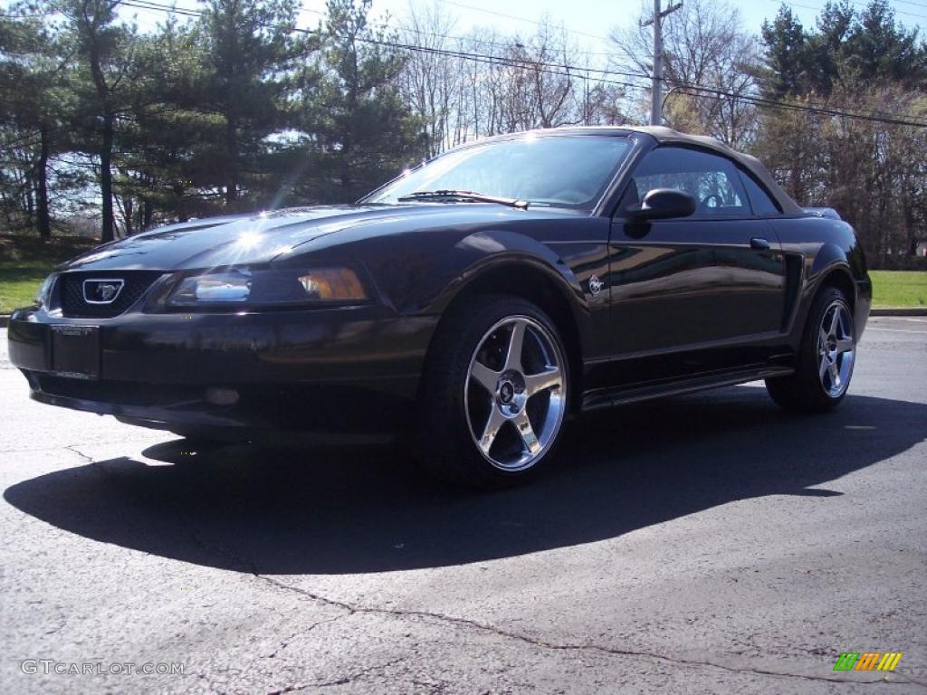 1999 Mustang V6 Convertible - Black / Medium Parchment photo #10