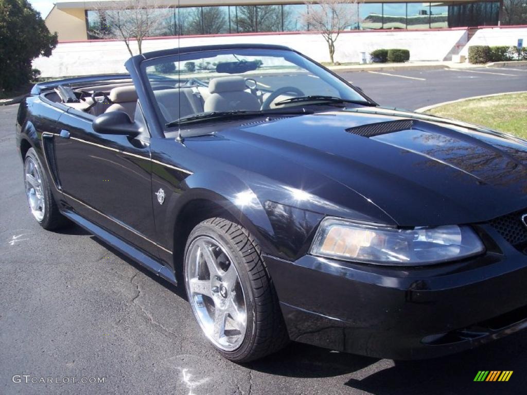 1999 Mustang V6 Convertible - Black / Medium Parchment photo #16