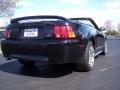1999 Black Ford Mustang V6 Convertible  photo #17