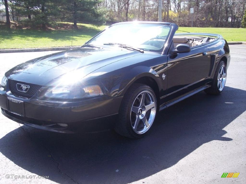 1999 Mustang V6 Convertible - Black / Medium Parchment photo #22