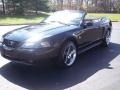 1999 Black Ford Mustang V6 Convertible  photo #22