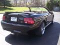 1999 Black Ford Mustang V6 Convertible  photo #26