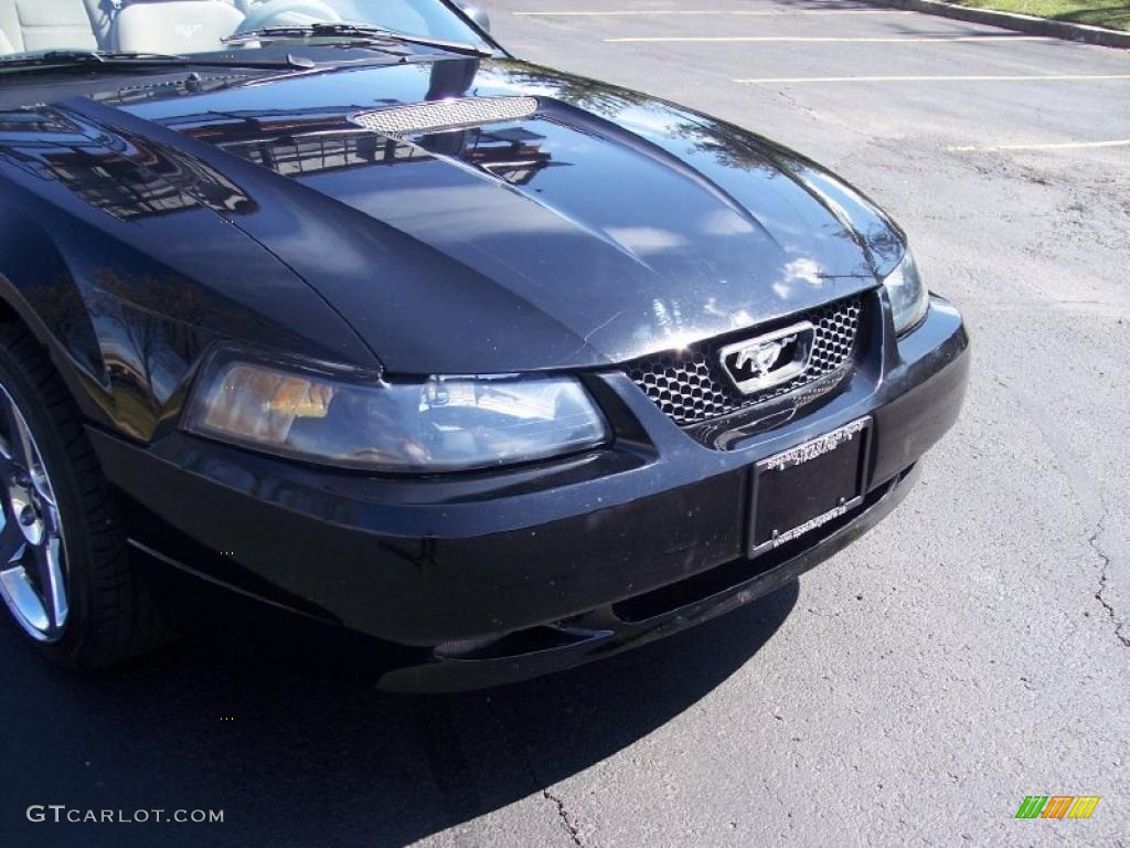 1999 Mustang V6 Convertible - Black / Medium Parchment photo #30