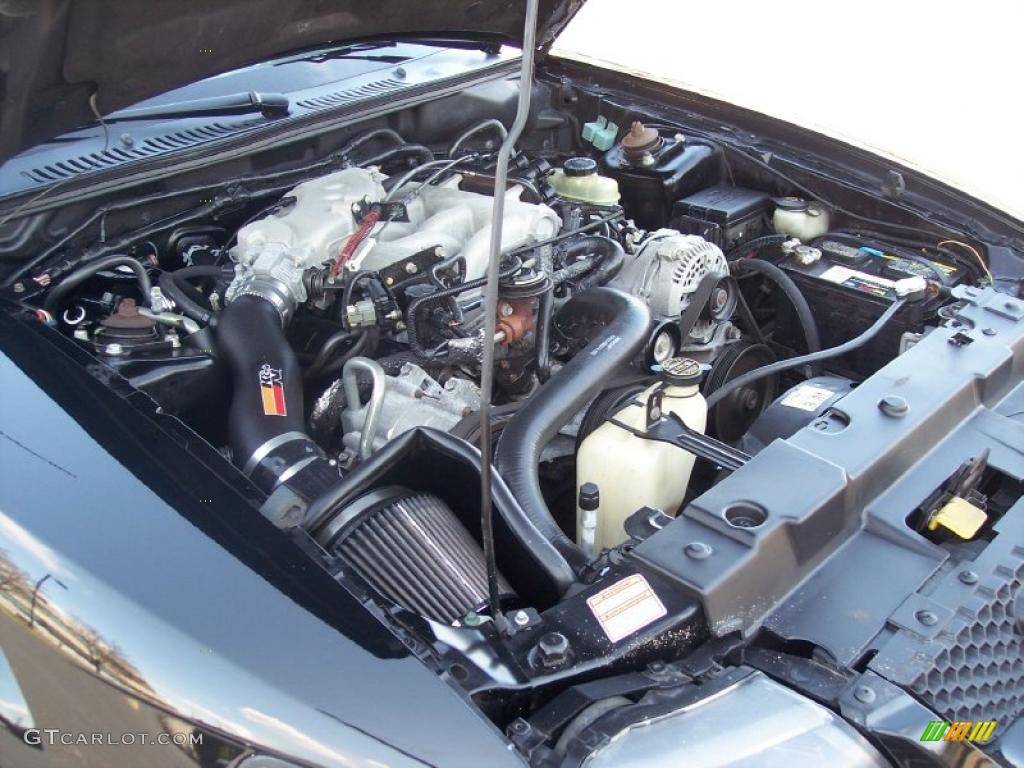 1999 Mustang V6 Convertible - Black / Medium Parchment photo #51