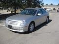 2006 Light Platinum Cadillac STS 4 V6 AWD  photo #7