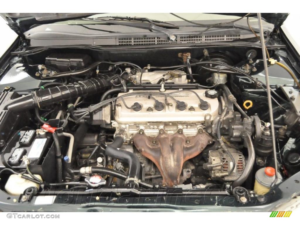 1999 Accord LX Sedan - Dark Emerald Pearl / Ivory photo #7