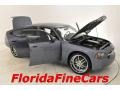 Silver Steel Metallic - Charger R/T Photo No. 7