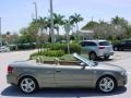 Alpaka Beige Metallic - A4 2.0T Cabriolet Photo No. 7