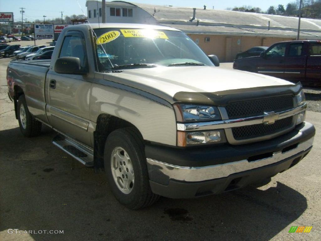 2003 Silverado 1500 LS Regular Cab - Light Pewter Metallic / Dark Charcoal photo #6