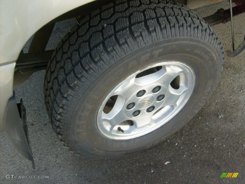 2003 Silverado 1500 LS Regular Cab - Light Pewter Metallic / Dark Charcoal photo #15