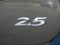 2010 Graphite Mica Mazda MAZDA3 s Sport 5 Door  photo #10