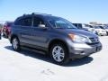 2010 Polished Metal Metallic Honda CR-V EX-L AWD  photo #3