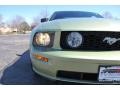2005 Legend Lime Metallic Ford Mustang GT Premium Coupe  photo #17