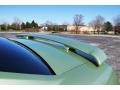 2005 Legend Lime Metallic Ford Mustang GT Premium Coupe  photo #19