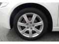 Premium White Pearl - TSX Sedan Photo No. 20