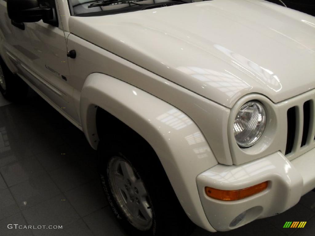 2002 Liberty Limited 4x4 - Stone White / Taupe photo #14