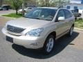 Savannah Beige Metallic - RX 350 AWD Photo No. 1
