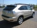 Savannah Beige Metallic - RX 350 AWD Photo No. 5