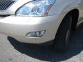 Savannah Beige Metallic - RX 350 AWD Photo No. 23
