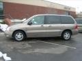 2004 Arizona Beige Metallic Ford Freestar SEL  photo #2