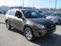 Pyrite Mica - RAV4 4WD Photo No. 8