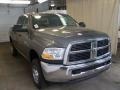 2010 Mineral Gray Metallic Dodge Ram 2500 ST Crew Cab 4x4  photo #10