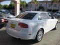 2008 Ibis White Audi A4 2.0T Sedan  photo #2