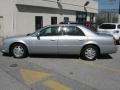 Light Platinum - DeVille Sedan Photo No. 8