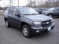 2007 Graphite Metallic Chevrolet TrailBlazer LT 4x4  photo #3