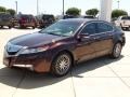 2009 Mayan Bronze Metallic Acura TL 3.5  photo #1