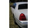 2004 Light French Silk Lincoln Town Car Ultimate  photo #11