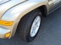 Light Khaki Metallic - Liberty Limited 4x4 Photo No. 11