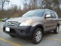 2005 Sahara Sand Metallic Honda CR-V EX 4WD  photo #24
