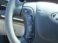 Steel Gray - Santa Fe GLS Photo No. 23