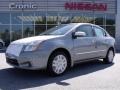 Magnetic Gray Metallic - Sentra 2.0 Photo No. 1