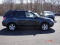 2010 Dark Gray Metallic Subaru Forester 2.5 X Limited  photo #7